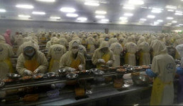 중국 후베이 가재 식품공장, 직원 5천 명 동시에 작업 투입