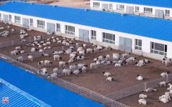 이 5대 키워드가 중국에 어떤 변화를 가져왔는가