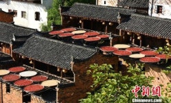 장시 우위안 산촌의 금빛 가을…대광주리에 수북이 널린 농작물