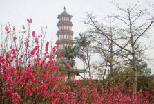 ‘포춘 글로벌 포럼’ 개최 앞둔 ‘꽃의 도시’ 광저우