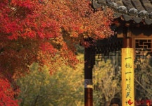 붉게 물든 산과 숲, 중국에서 단풍으로 유명한 곳