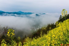 한 폭의 수묵화 같은 중국 안후이 황산의 ‘운해’