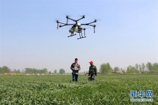 [스마트 농업] 드론으로 분무 작업하는 중국 농촌의 신풍경