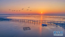 中 역사?문화로 알아보는 세계 3대강 장강 낱낱이 파헤치기