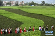 중국 광둥, 논밭 위 이색적인 예술