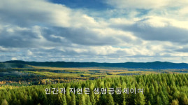 ‘우리는 대로를 걷고 있다’ 제19부 녹수청산이 금산은산