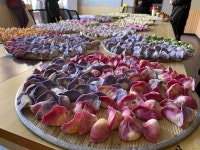 옌칭, 빙설 속 새해 분위기 물씬