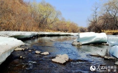 꽃피는 봄날 맞아 돌아온 원앙들…쒀룬목장에 둥지 틀어