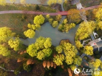 운무 속 아름다운 양저우 고성의 모습