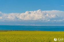 [포토] ‘고원의 사파이어’ 칭하이호 절경 감상