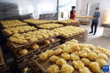 산둥 후이민, ‘윤택한 삶’ 가져온 흰목이버섯 산업