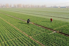 [중국 뉴스 브리핑] 2022년 12월 7일