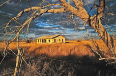 제1회  실크로드 글로벌 뉴스 어워드 수상작 소개