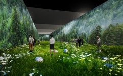 2023 강원세계산림엑스포 미디어아트 전시관 조성… ‘기후위기의 해법을 산림에서 찾다’