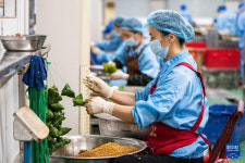 후난 ‘쭝쯔?마을’, 전통 솜씨가 대형산업으로 성장