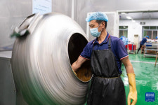 후난 ‘쭝쯔?마을’, 전통 솜씨가 대형산업으로 성장