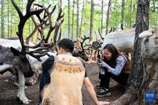 도시에서 산 속으로 이사간 90허우 ‘순록 사육 부부...어원커족 문화 계승