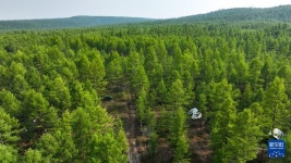 도시에서 산 속으로 이사간 90허우 ‘순록 사육 부부...어원커족 문화 계승