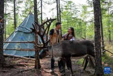도시에서 산 속으로 이사간 90허우 ‘순록 사육 부부...어원커족 문화 계승