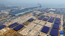 산둥, 어업-태양광 융합으로 해양 녹색자원 공유