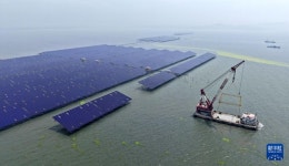 산둥, 어업-태양광 융합으로 해양 녹색자원 공유