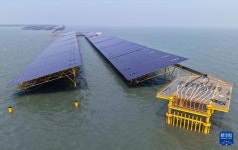 산둥, 어업-태양광 융합으로 해양 녹색자원 공유