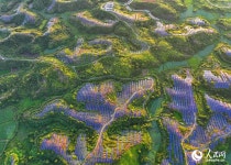 장시 광창, 태양광 패널로 녹색 에너지 수익 창출