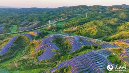 장시 광창, 태양광 패널로 녹색 에너지 수익 창출