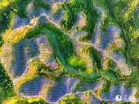 장시 광창, 태양광 패널로 녹색 에너지 수익 창출