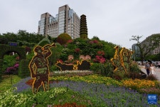 베이징 창안제 연선 화훼 장식 설치 완료