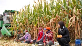 ‘신농인’ 흙냄새 나는 꿈…흑토지서 농촌진흥 이끈다