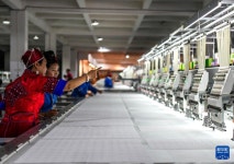 먀오족 자수 장인, 정교한 솜씨로 아름다운 세상을 수놓다