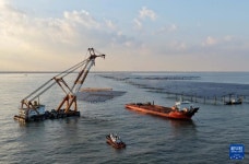 허베이 창리, 해상 태양광 발전소 프로젝트 건설 한창