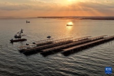 허베이 창리, 해상 태양광 발전소 프로젝트 건설 한창