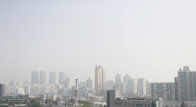 초미세먼지 심하면 심방세동 위험↑