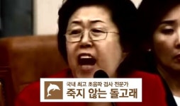 [단독]국감 스타 이은재 의원, 막장 드라마 출연을 위해 찍은 테스트 영상 입수