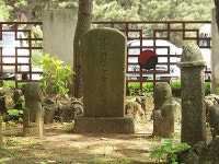 [역사]탐라의 거상 김만덕! 제주도를 건져내다