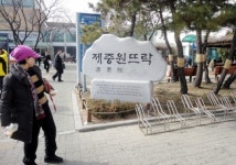 제중원 뜨락이 뭔가요?