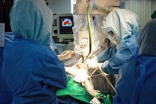 이춘택병원, 스미스앤드네퓨 ‘베리라스트’ 도입