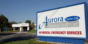 분당서울대 병원정보시스템 중동 넘어 미국도 진출