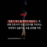 |카느뉴스| 