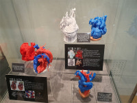 대한민국 심장학 역사와 미래가 한눈에...심장박물관 개관