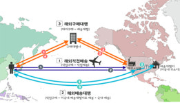 돋보기 안경 온라인·홈쇼핑 판매 허용...콘텍트렌즈는 제외