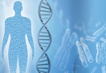 면역억제제 투여 전 시행한 유전자검사 삭감 주의