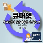 동물약 도매상 큐어벳, 회원 동물약국 홍보서비스 시작