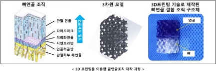 시지바이오, 미국 연구소와 뼈·연골 재생 연구 협력