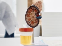 신장병 신약 피네레논+SGLT-2i 병용 첫 근거 마련