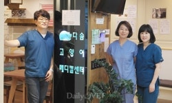[전문진료 동물병원 인터뷰7] 고양이 친화 병원 `다솜고양이메디컬센터`