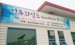 야생동물 진료관리 향상 위한 `인투와일드` 워크숍 개최