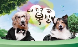 울산시수의사회 참여 JCN 울산중앙방송 `내 친구 복실이` 화제